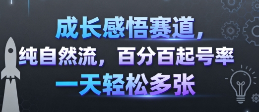 成长感悟赛道，纯自然流，*起号率 一天轻松多张
