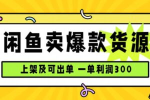 （15977期）闲鱼卖爆款货源，每天利润1000，上架即出单-麦资源网
