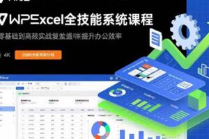 （15873期）WPS Excel全技能系统课程：从零基础到高阶实战全覆盖，全面提升办公效率-麦资源网