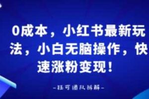 0成本，小红书最新玩法，小白无脑操作，快速涨粉变现-麦资源网