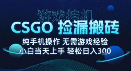 8月*游戏搬砖，CSGO纯挂G，不需要玩游戏，实现真挂G，月入1W+【揭秘】
