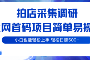 拍店采集调研，全网首码项目，简单易操作， 小白也能轻松上手，轻松日赚500+-麦资源网