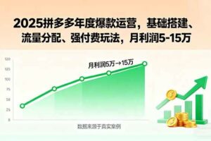 （15973期）2025拼多多年度爆款运营，基础搭建、流量分配、强付费玩法，月利润5-15万-麦资源网