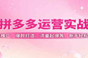 拼多多运营实战，付费推广、爆款打造、流量起爆等，新手轻松起店-麦资源网