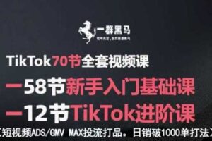 TikTok全套视频课，新手入门+进阶课，短视频ADS-GMV MAX投流打品，日销破1000单打法-麦资源网