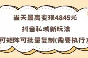 当天最高变现1k+，抖音私域新玩法，可矩阵可批量复制-麦资源网