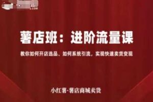 小红薯薯店商城卖货，进阶流量课，教你如何开店选品、如何系统引流，实现快速卖货变现-麦资源网