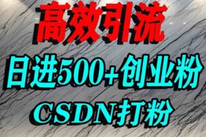 怎么打创业粉？CSDN又一个你不知道的打粉引流神秘平台，单人日引500+精准流量-麦资源网