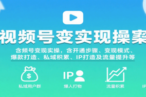 视频号变现实操，含开通步骤、变现模式、爆款打造、私域积累、IP打造及流量提升等-麦资源网