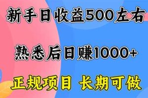 （16132期）新手日收益500+ 正规项目 长期可做-麦资源网