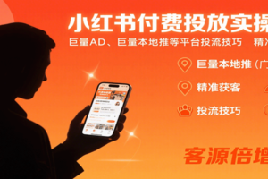 小红书付费投放实操课：巨量AD、巨量本地推等平台投流技巧精准获客-麦资源网