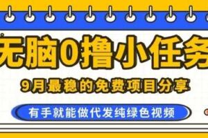 0学费0风险，2025风口项目，无脑免费撸，代发纯绿色视频，一部手机人人可做【揭秘】-麦资源网