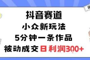 抖音赛道：小众新玩法，5分钟一条作品，被动成交，日利润3张-麦资源网