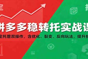 拼多多稳转托实战课：稳定托管双操作，含优化、裂变、反向玩法，提升投产-麦资源网