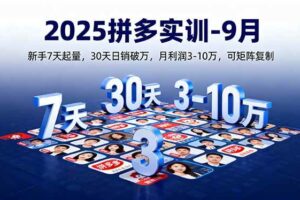 （16008期）2025拼多多实训-9月：新手7天起量,30天日销破万,月利润3-10万,可矩阵复制-麦资源网