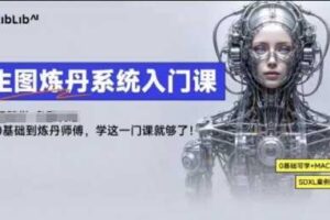 LibLibAI哩布哩布生图炼丹系统入门课，从生图到炼丹，只学这一门就够了-麦资源网