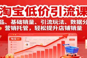 淘宝低价引流课，选品、基础销量、引流玩法、数据分析，营销托管，轻松提升店铺销量-麦资源网