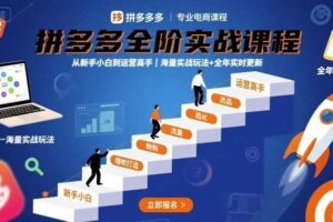 拼多多全阶实战课程，从新手小白到运营高手，海量实战玩法+全年实时更新【2025年9月更新】-麦资源网