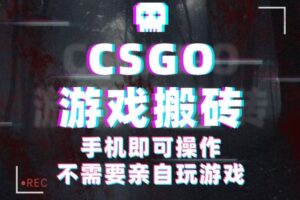 CSGO游戏挂机捡漏，单日扫货500+，年底小高峰上车可吃肉，手机即可操作兼职副业-麦资源网