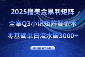 （15904期）2025撸美金暴利矩阵，全案小说矩阵掘金术，零基础单日流水破3000+-麦资源网