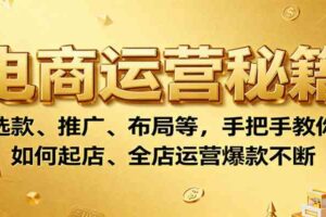 电商运营秘籍：选款、推广、布局等，手把手教你如何起店、全店运营爆款不断-麦资源网