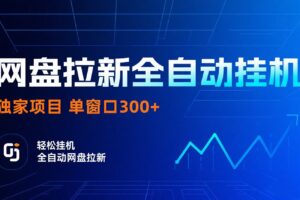 网盘拉新全自动挂机项目 独家稳定 单窗口轻松日入300+ 可矩阵-麦资源网