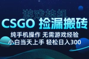 9月最新游戏搬砖，CSGO纯挂机，不需要玩游戏，实现真挂机，月入1W+-麦资源网