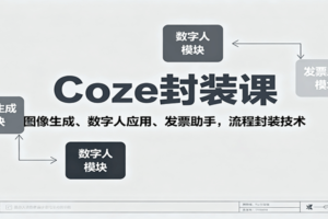 Coze封装课，图像生成、数字人应用、发票助手，流程封装技术-麦资源网