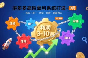 （15916期）拼多多高阶盈利系统打法-9月：选品+推广+活动+诊断+最新风口，月利润3-10w-麦资源网