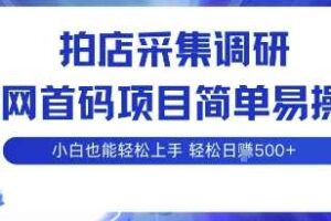 拍店采集调研，全网首码项目，简单易操作， 小白也能轻松上手，多账号操作，轻松日入5张【揭秘】-麦资源网