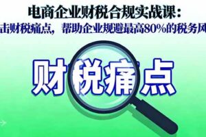 （16232期）电商企业财税合规实战课，直击财税痛点，帮助企业规避最高80%的税务风险-麦资源网