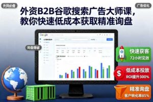 外资B2B谷歌搜索广告大师课，教你快速低成本获取精准询盘-麦资源网