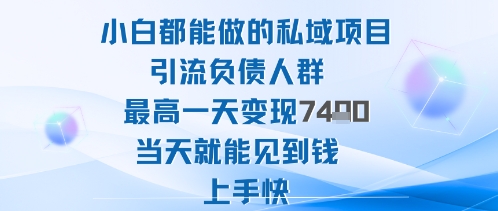 2025年小白都能做的私域项目引流负债人群*一天变现1k+高变现难度低当天就能见到钱上手快