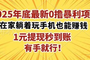 （16419期）2025年底最新0撸暴利项目，在家也能躺赚，1元秒提现，有手就行！-麦资源网