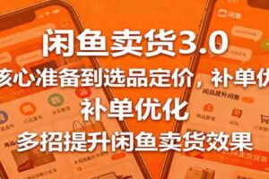 闲鱼卖货3.0，从核心准备到选品定价，补单优化，多招提升闲鱼卖货效果-麦资源网