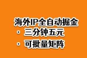 海外ip全自动掘金，2025必做蓝海项目，3分钟落地，矩阵直接开干【揭秘】-麦资源网