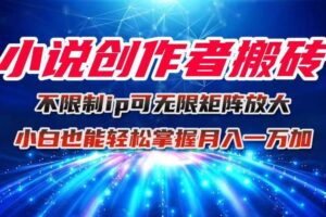 （16209期）小说创作者搬砖玩法，不限制IP简单无脑 可矩阵无限放大小白也能实现轻…-麦资源网