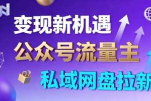 公众号流量主+私域网盘拉新，多方式变现，简单易上手，当天就有收益-麦资源网