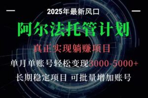 阿尔法托管计划 单账号月入3000-5000，长期稳定项目，新手小白轻松上手-麦资源网