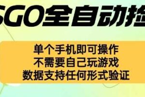 自动挂G捡漏，不用自己挂G不用玩游戏，一个手机即可操作，新手小白轻松月入1W+【揭秘】-麦资源网
