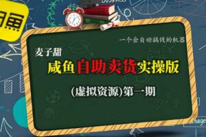 麦子甜咸鱼自助卖货实操版（虚拟资源）一个会自动搞钱的机器-麦资源网