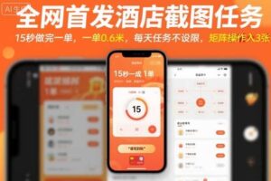 全网首发酒店截图任务，15秒做完一单，一单0.6米，每天任务不设限，矩阵操作日入3张【揭秘】-麦资源网