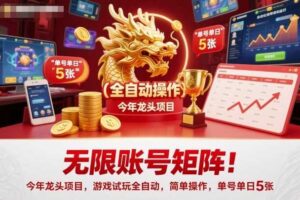 无限账号矩阵！今年龙头项目，游戏试玩全自动，简单操作，单号单日5张【揭秘】-麦资源网