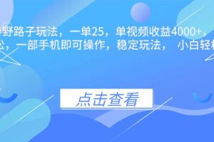 (16446期)抖音手游野路子玩法,一单25,单视频收益4000+,日入几千轻轻松松,一…-麦资源网