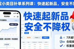淘宝小类目补单系列课，快速起新品，安全不降权-麦资源网
