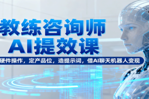 教练咨询师AI提效课：懂硬件操作，定产品位，造提示词，借AI聊天机器人变现-麦资源网