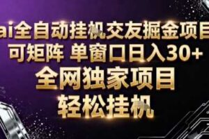 AI全自动聊天交友掘金项目，批量可矩阵，单窗口收益轻松30+【揭秘】-麦资源网