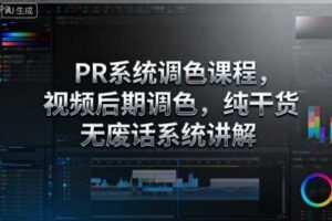 PR系统调色课程，视频后期调色，纯干货无废话系统讲解-麦资源网