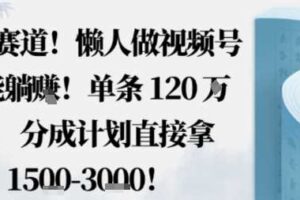 蓝海赛道,懒人做视频号也能躺挣,单条120W赞,分成计划直接拿1.5k,不用拍不用剪-麦资源网