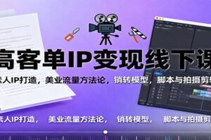 高客单IP变现线下大课：素人IP打造，美业流量方法论，销转模型，脚本与拍摄剪辑-麦资源网